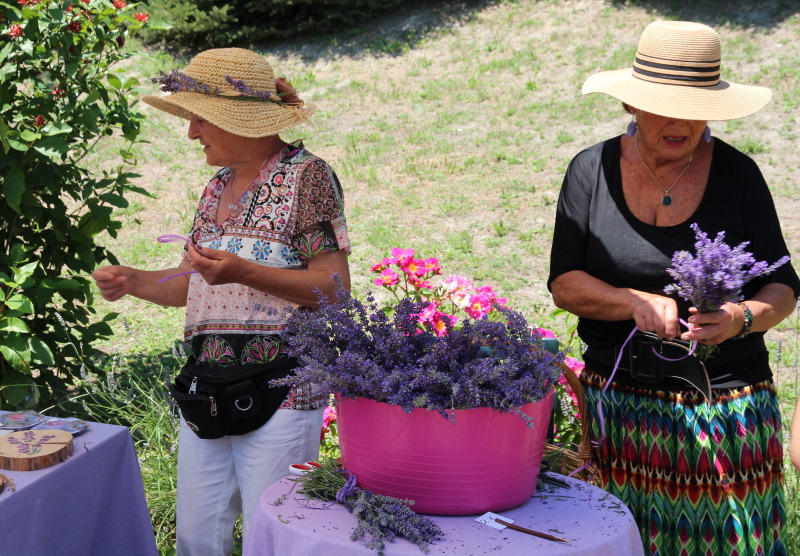 festa della lavanda a Sale