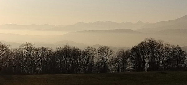 ciucarun serra ivrea