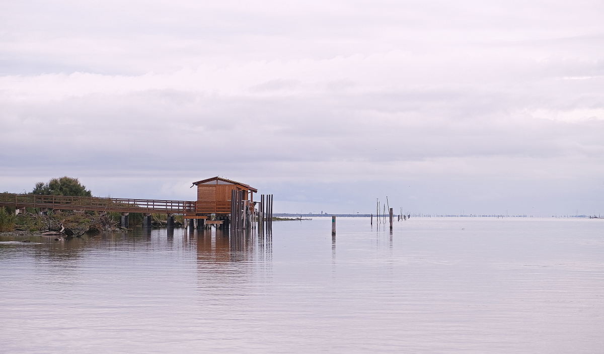 delta del po gorino