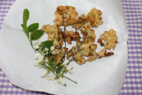 frittelle di fiori di acacia