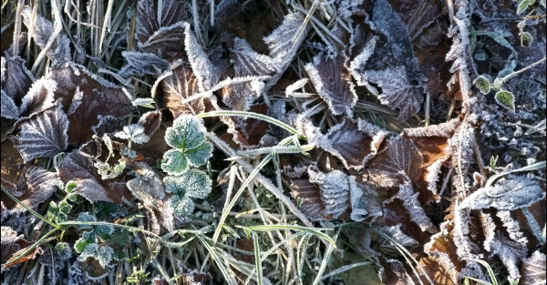 gelo terra delle fate