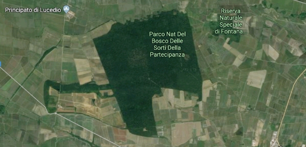 parco della partecipanza trino