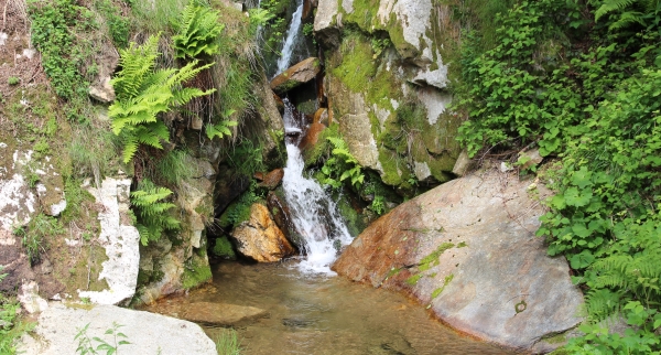 cascatella ad oltrebosco