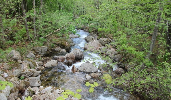 ruscello a trovinasse